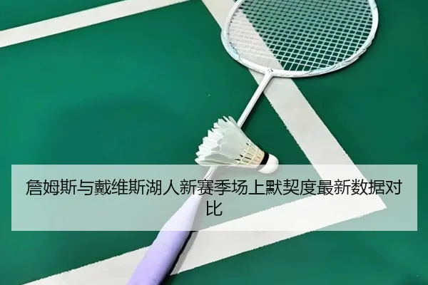 詹姆斯与戴维斯湖人新赛季场上默契度最新数据对比